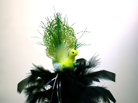 ピーコック・Style 2