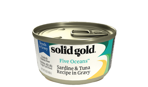 画像1: ソリッドゴールド　イワシ＆ツナ缶（猫用） 10個セット